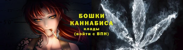 Альфа ПВП Ельня