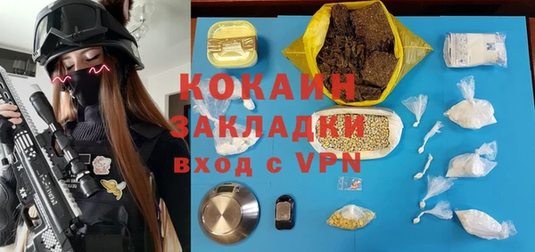 Альфа ПВП Ельня