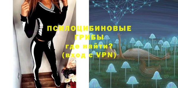 прущая мука Елабуга