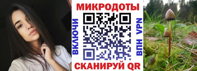Купить закладки  Суздаль  Псилоцибиновые грибы Psilocybe 